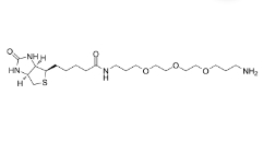 Biotin-PEG3-CH2-NH2	   1374658-86-2	           生物素-三聚乙二醇-亚甲基-氨基