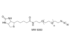 Biotin-PEG23-N3	     956494-20-5	        生物素-PEG23-叠氮化物