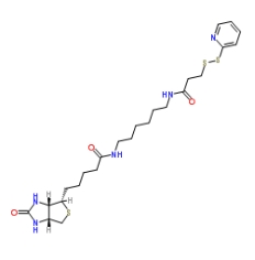 Biotin-HPDP,129179-83-5,双硫键生物素交联剂