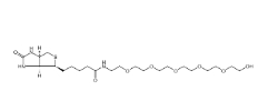 (+)-Biotin-PEG6-OH;906099-89-6