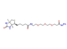 英文名称: Biotin-PEG3-propionic hydrazide 中文名称: 生物素-PEG3-酰肼 MF: C19H35N5O6S MW: 461.58 CAS: 1381861-94-4 描述 Biotin-PEG3-propionic hydrazide 是基于 PEG 结构的 PROTAC linker,可以用来制备 PROTAC。 关于我们: 西安瑞禧生物科技有限公司是一家集研发,生产,销售为一体的高科技企业,可提供合成磷脂、高分子聚乙二醇衍生物、嵌段共聚物、顺磁/超顺磁性纳米颗粒、纳米金及纳米金棒、近红外荧光染料、活性荧光染料、荧光标记的葡聚糖BSA和链霉亲和素、蛋白交联剂、小分子PEG衍生物、点击化学产品、树枝状聚合物、环糊精衍生物、大环配体类、荧光量子点、透明质酸衍生物、石墨烯或氧化石墨烯、碳纳米管、富勒烯等等,可以满足不同客户的定制需求。 描述: 规格:1mg 5mg 10mg 纯度:99% 状态:固体/溶液 用途:科研! 温馨提示:仅用于科研,不能用于人体实验! 厂家:西安瑞禧生物科技有限公司 推荐产品: 1253286-56-4 122567-66-2 122266-55-1 122266-55-1 1221498-88-9 1217850-77-5 1217605-72-5 1217481-41-8 1217455-99-6 120550-35-8 120550-35-8 12:0 生物素-18:1 PE cas:2260669-91-6 11-巯基十一酸-(8-生物素酰胺基-3,6-二氧辛基)酰胺(MBDA) 119616-38-5,Sulfo-NHS-Biotin,NHS-SS-Biotin,142439-