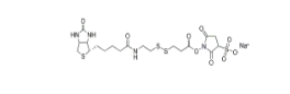 Sulfo-NHS-SS-biotin,Sulfo-NHS-SS-Biotin sodium、325143-98-4、生物素-二硫键-磺酸-琥珀酰亚胺酯