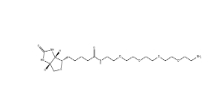 Biotin-PEG6-NH2, 663171-32-2,小分子PEG