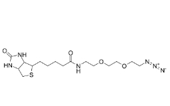 Biotin-PEG2-azide/1910803-72-3/生物素二聚乙二醇叠氮	