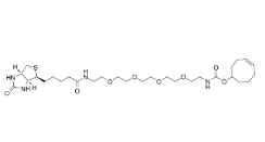 Biotin-PEG4-TCO/cas: 2183440-30-2/生物素四聚乙二醇反式环辛烯