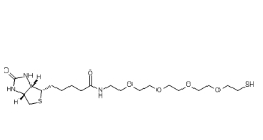 Biotin-PEG4-SH/2762393-22-4/生物素四聚乙二醇巯基	 