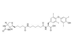 Biotin-hexanamide-(L-Thyroxine)；2278192-78-0；生物素己酰胺-（L-甲状腺素）