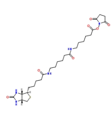 Biotin-AC5-AC5-OSU； 89889-52-1；生物素氨基己酸氨基己酸琥珀酰亚胺酯	