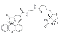 生物素（5-荧光素）缀合物 ； 957494-27-8；BIOTIN (5-FLUORESCEIN) CONJUGATE