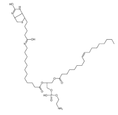 CAS号:799812-67-2；1-油酰-2-(12-生物素酰(氨基十二烷基))-sn-甘油-3-磷酸乙醇胺