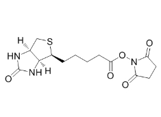 N-Succinimidyl D-Biotinate；35013-72-0；(+)生物素-N-琥珀酰亚胺基酯