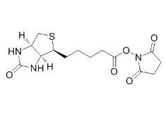NHS Biotin；35013-72-0；(+)生物素-N-琥珀酰亚胺基酯