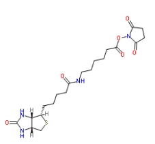 NHS LC Biotin，72040-63-2，生物素化-epsilon-氨基己酸-N-羟基丁二酰亚胺活化酯