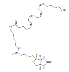 CAS号： 1217901-28-4；Arachidonic Acid-biotinamide