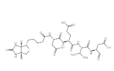 Biotin-Asp-Glu-Val-Asp-CHO；178603-73-1；生物素-天冬氨酰-谷氨酰-缬氨酰-天冬氨醛