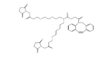 CAS号：2128735-29-3，N-DBCO-N-bis(PEG2-C2-NHS ester)，N-Dbco-N-bis(peg2-nhs ester)，N-二苯基环辛炔-N-bis(二聚乙二醇-C2-琥珀酰亚胺酯)