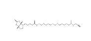 Biotin-PEG4-amide-Alkyne，CAS号：1006592-45-5
