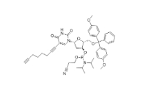 clk-a03-1g c8-alkyne-du-cep, 1 g pack,CAS号:938186-76-6
