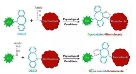 DBCO-PEG-Hydroxyl，DBCO-PEG-OH，Hydroxyl-PEG-DBCO， 二苯基环辛炔-聚乙二醇-羟基
