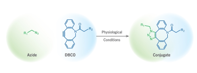 二苯基环辛炔PEG氨基；DBCO-PEG5000-NH2