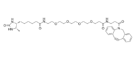 DBCO-PEG4-Desthiobiotin，Desthiobiotin-PEG4-DBCO，CAS号：2032788-37-5，二苯基环辛炔-四聚乙二醇-脱硫生物素