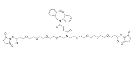 DBCO-N-bis(PEG4-NHS ester)，CAS:2639395-38-1，二苯基环辛炔-N-bis(四聚乙二醇-琥珀酰亚胺酯)