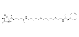 TCO-PEG4-biotin，CAS：2183440-30-2，反式环辛烯-四聚乙二醇-生物素