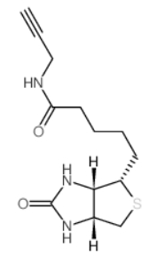 Biotin alkyne，CAS号：773888-45-2，生物素偶联炔基
