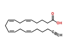Arachidonic acid-alkyne，CAS号：1219038-32-0