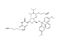 clk-a03-1g c8-alkyne-du-cep, 1 g pack，CAS号：938186-76-6