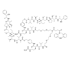 DBCO-(PEG2-VC-PAB-MMAE)2，CAS:2259318-55-1，二苯并环辛炔-(二聚乙二醇-VC-PAB-MMAE)2