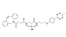 1802238-48-7；Methyltetrazine-DBCO,Methyltetrazine-Dibenzocycloo；甲基四嗪-二苯并环辛炔	
