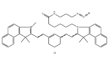 1628790-36-2，Cyanine7.5 azide,Cy7.5-N3,近红外荧光染料，Cy7.5-叠氮	