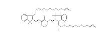 2107273-84-5；N,N＇-bis-(azide-PEG3)-chlorocyclohexenyl Cy7；N,N＇-双-(叠氮-三聚乙二醇)-氯环己烯 CY7染料	