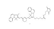 2270866-73-2，Cyanine7.5 maleimide，Cy7.5-Mal，菁染料cy7.5马来酰亚胺	