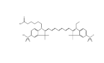 Sulfo-Cy7/CAS: 943298-08-6/近红外花菁染料         瑞禧生物