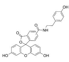 210236-90-1，Fluorescein Tyramide，FITC-Tyramide，荧光素酪胺