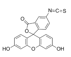cas:3326-32-7/异硫氰酸荧光素/FITC/含异硫氰基的荧光试剂