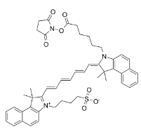 ICG-NHS Ester; CAS:1622335-40-3，吲哚菁绿-琥珀酰亚胺酯
