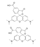 5（6）-羧基四甲基罗丹明荧光试剂,98181-63-6，5(6)-Carboxytetramethylrhodamine