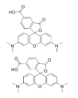 TAMRA Acid|98181-63-6|羧基四甲基罗丹明          瑞禧生物