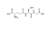 科研级谷胱甘肽L-Glutathione reduced ，CAS号: 70-18-8