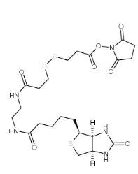 NHS-SS-Biotin，CAS号：142439-92-7           瑞禧生物