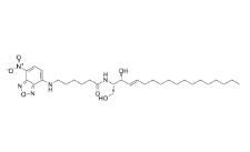 CAS号：94885-02-6， C6 NBD Ceramide
