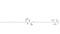 C16 Ceramide-d7，1840942-13-3          瑞禧生物