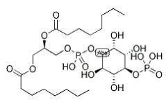 CAS号：214069-07-5，PI(4)P, DI C8，4-单磷酸磷脂酰肌醇