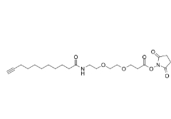 CAS号：1006592-59-1，Propargyl-C8-amido-PEG2-NHS ester