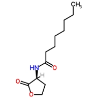 C8-HSL，CAS号：147852-84-4             瑞禧生物