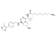 (S,R,S)-AHPC-C8-NH2，CAS号：2341796-79-8            瑞禧生物