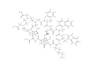 DOTA多肽分子探针,619300-53-7,DOTA NOC acetate
